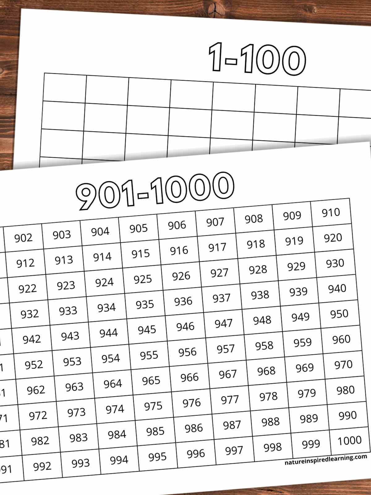 1 000 Number Charts Nature Inspired Learning