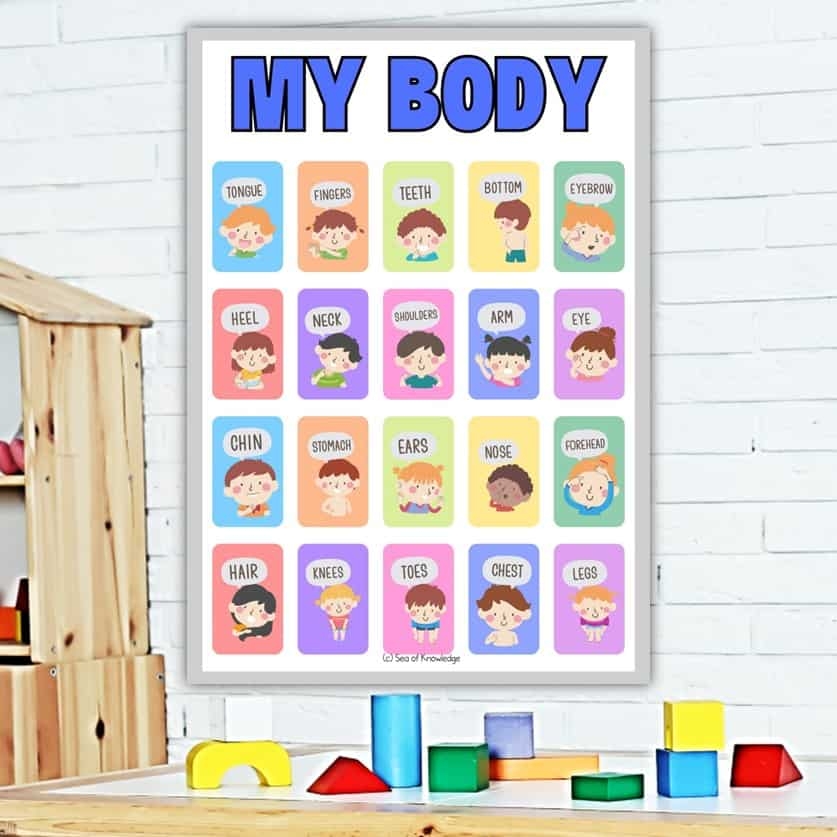 15 Fun Body Parts Activities For Preschoolers Including Labeling Posters 15 Fun Body Parts Activities For Preschoolers Including Labeling Posters