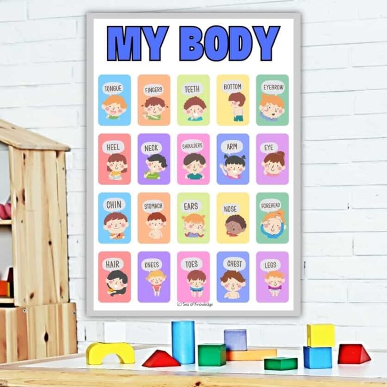 15 Fun Body Parts Activities For Preschoolers Including Labeling Posters