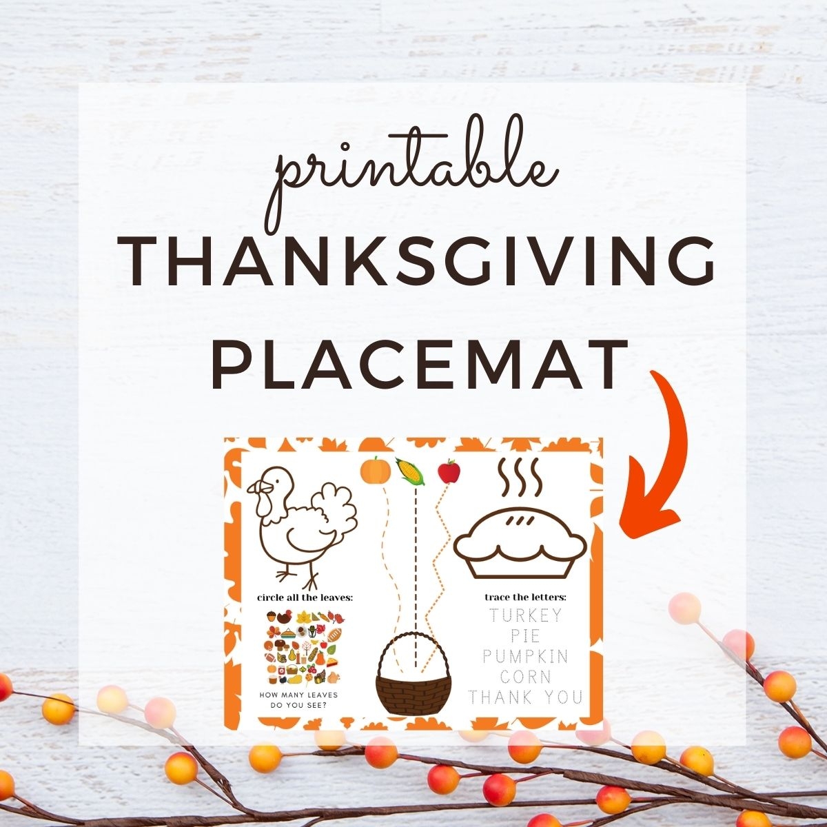 Thanksgiving Activities For Preschoolers Printable