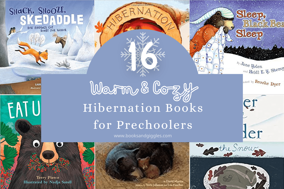 16 Warm And Cozy Hibernation Books For Preschoolers 16 Warm And Cozy Hibernation Books For Preschoolers