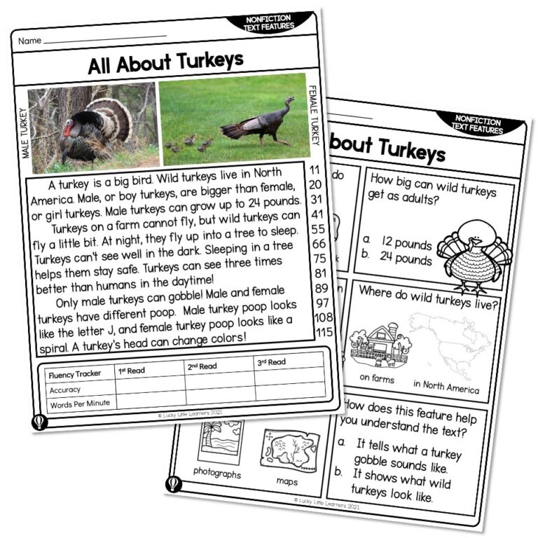 1st Grade Nonfiction Text Features Reading Passage All About