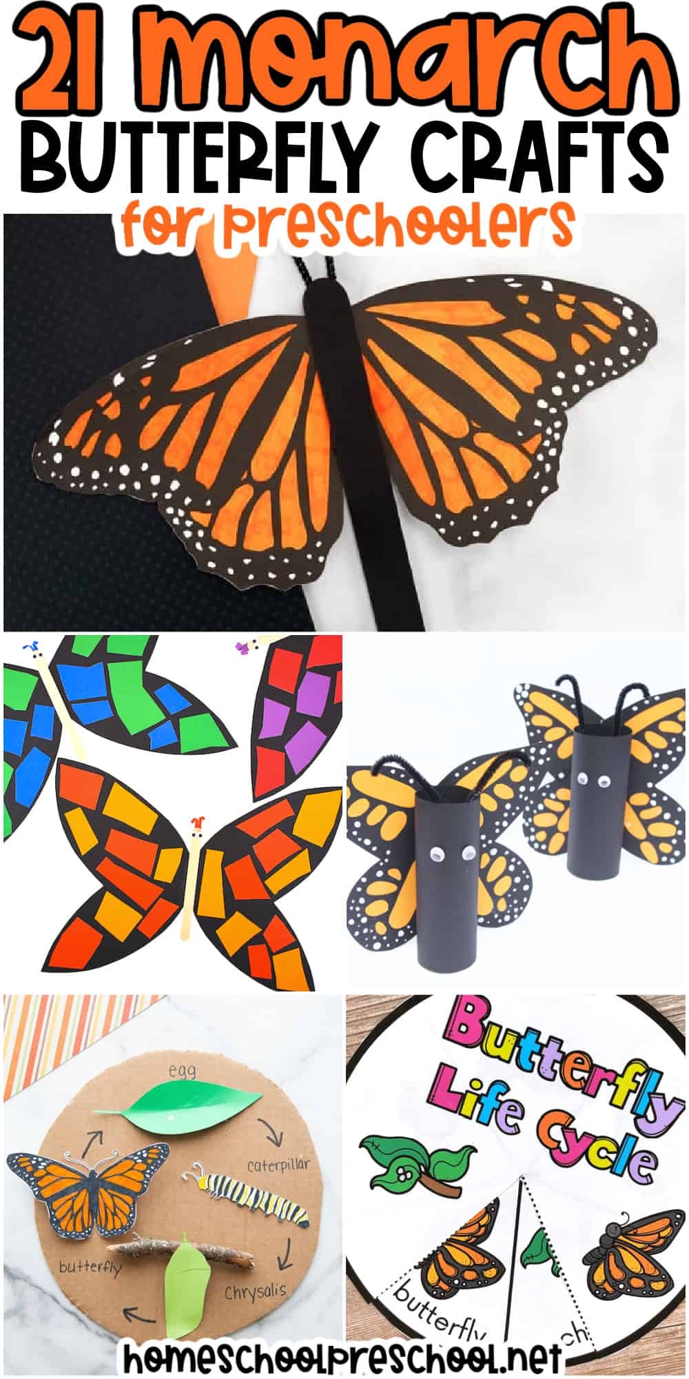 Butterfly Monarch Life Cycle Printable Preschool Butterfly Monarch Life Cycle Printable Preschool