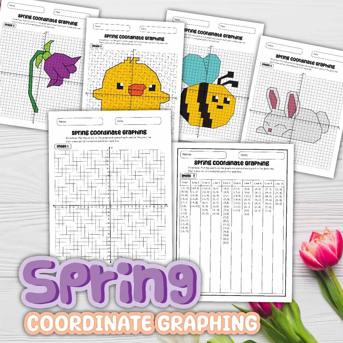 Coordinate Graphing Picture Worksheets Free Printable Coordinate Graphing Picture Worksheets Free Printable