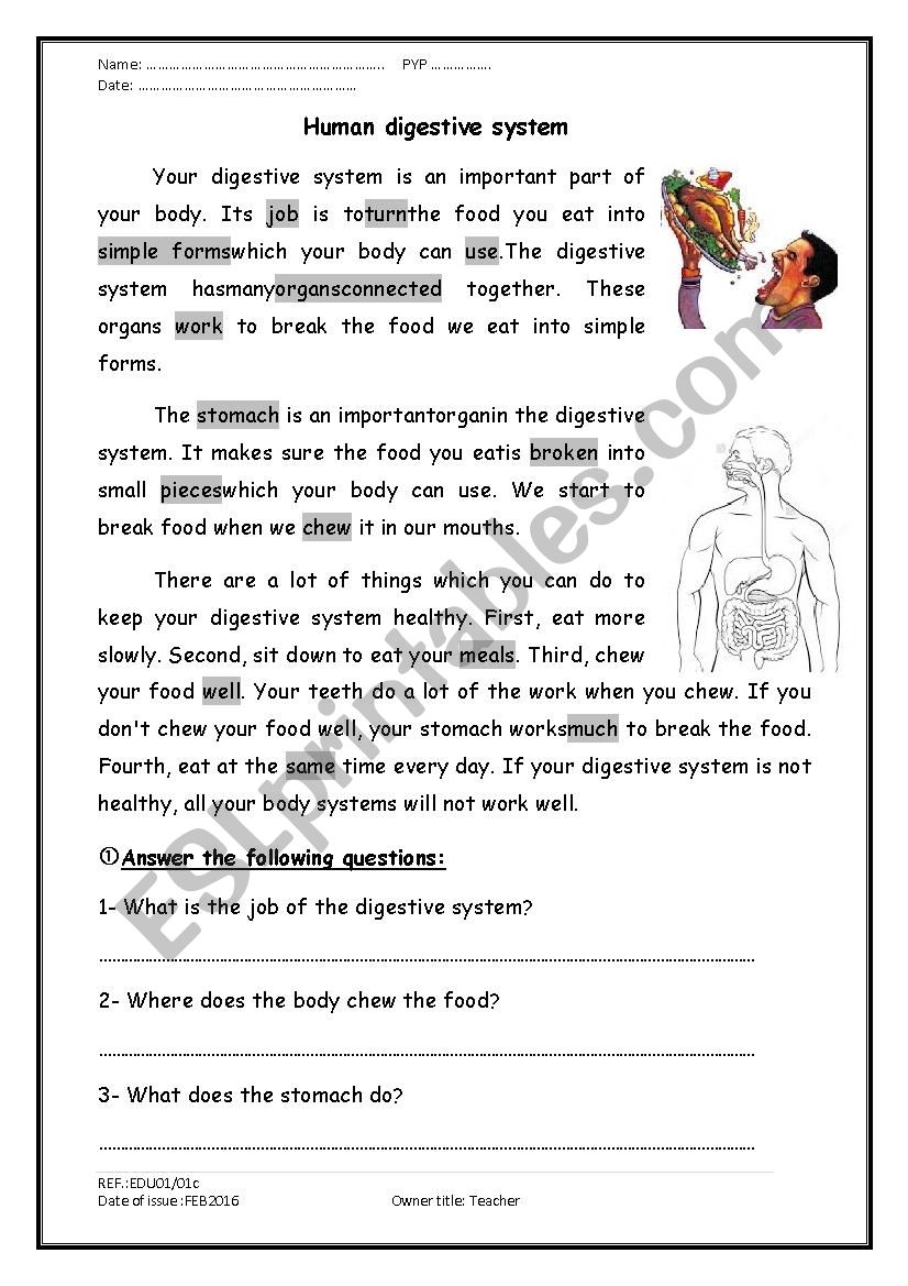 A Reading Comprehension Passage About The Digestive System ESL Worksheet By Mohamed Hamed A Reading Comprehension Passage About The Digestive System ESL Worksheet By Mohamed Hamed
