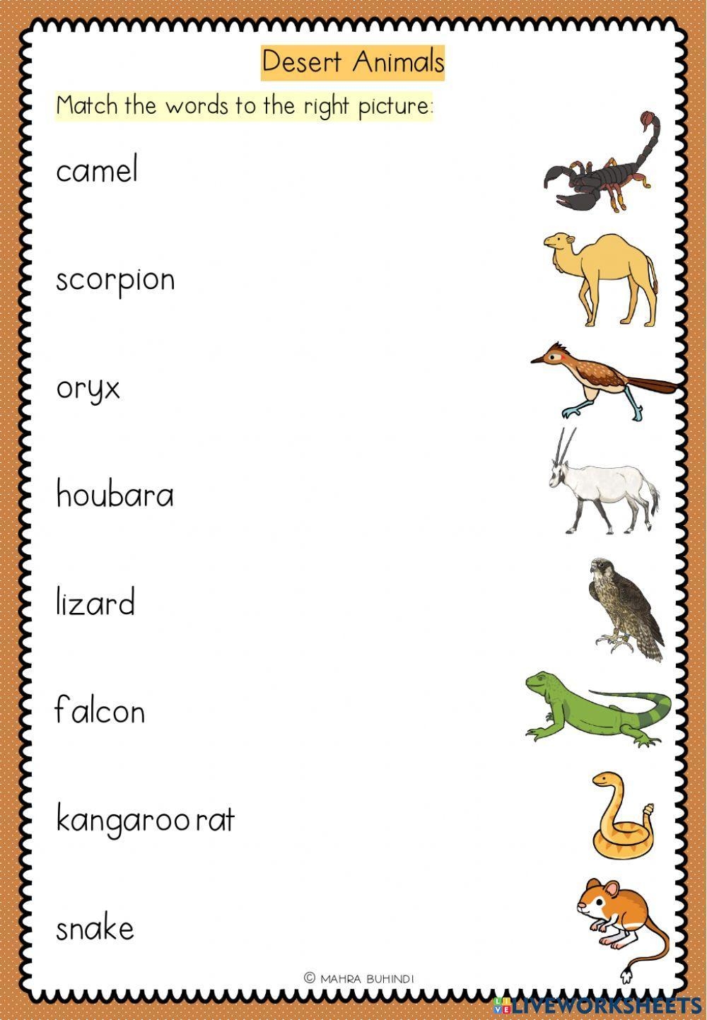 Activity Desert Animals Worksheet Live Worksheets Worksheets Library Activity Desert Animals Worksheet Live Worksheets Worksheets Library