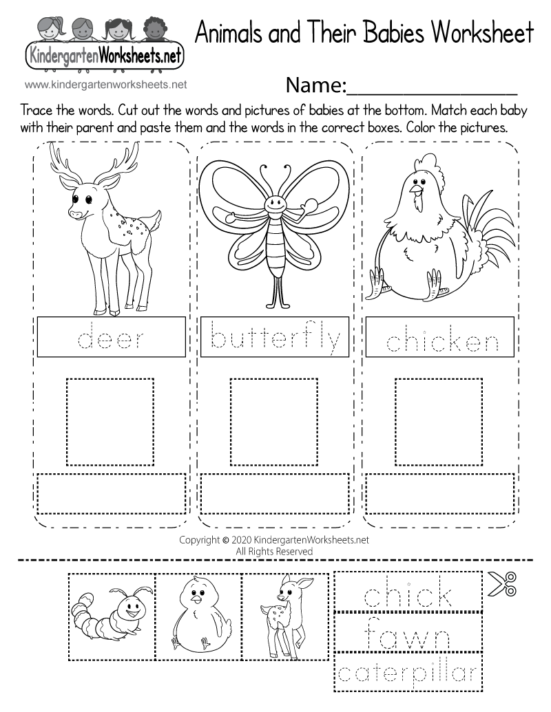 Animal Worksheet Free Printable Animal Worksheet Free Printable