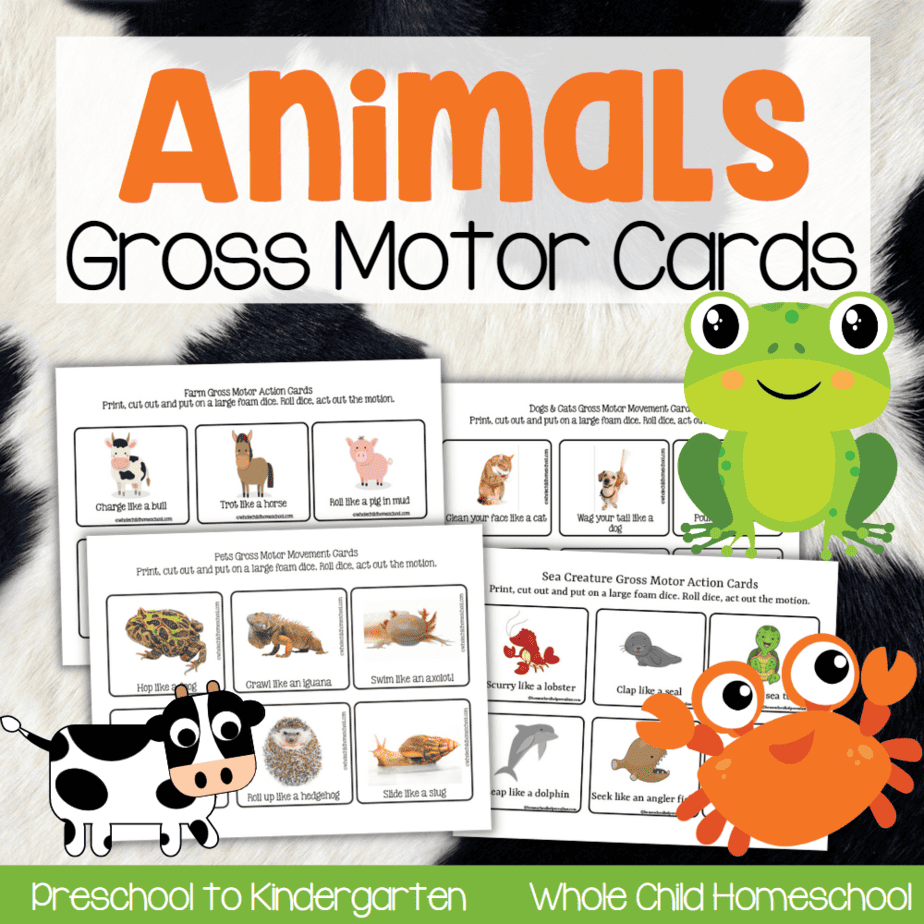 Animals Gross Motor Cards Ocean Farm Pets Animals Gross Motor Cards Ocean Farm Pets