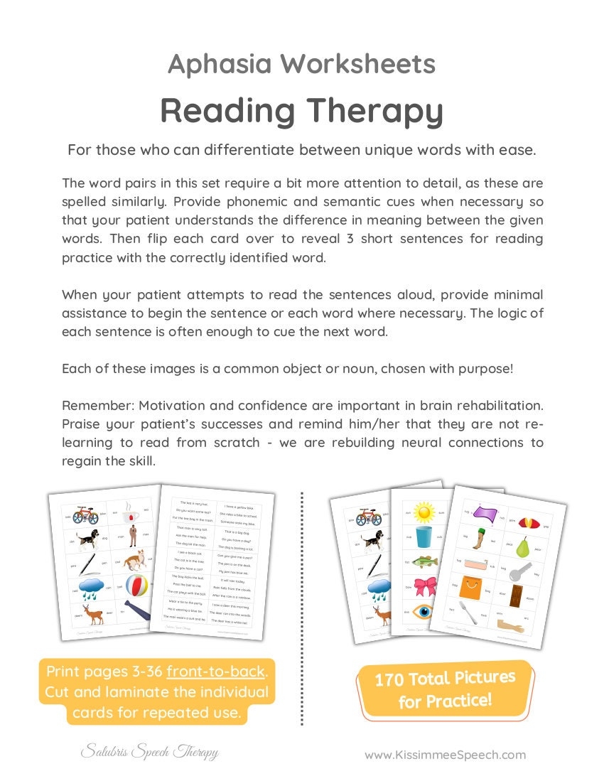 Aphasia Reading Therapy 2 NOUNS Reading Comprehension Speech Therapy Etsy Aphasia Reading Therapy 2 NOUNS Reading Comprehension Speech Therapy Etsy