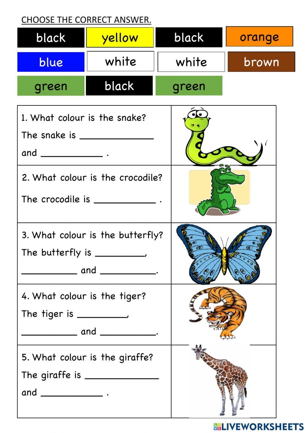 Free Printable Animal Camouflage Worksheets