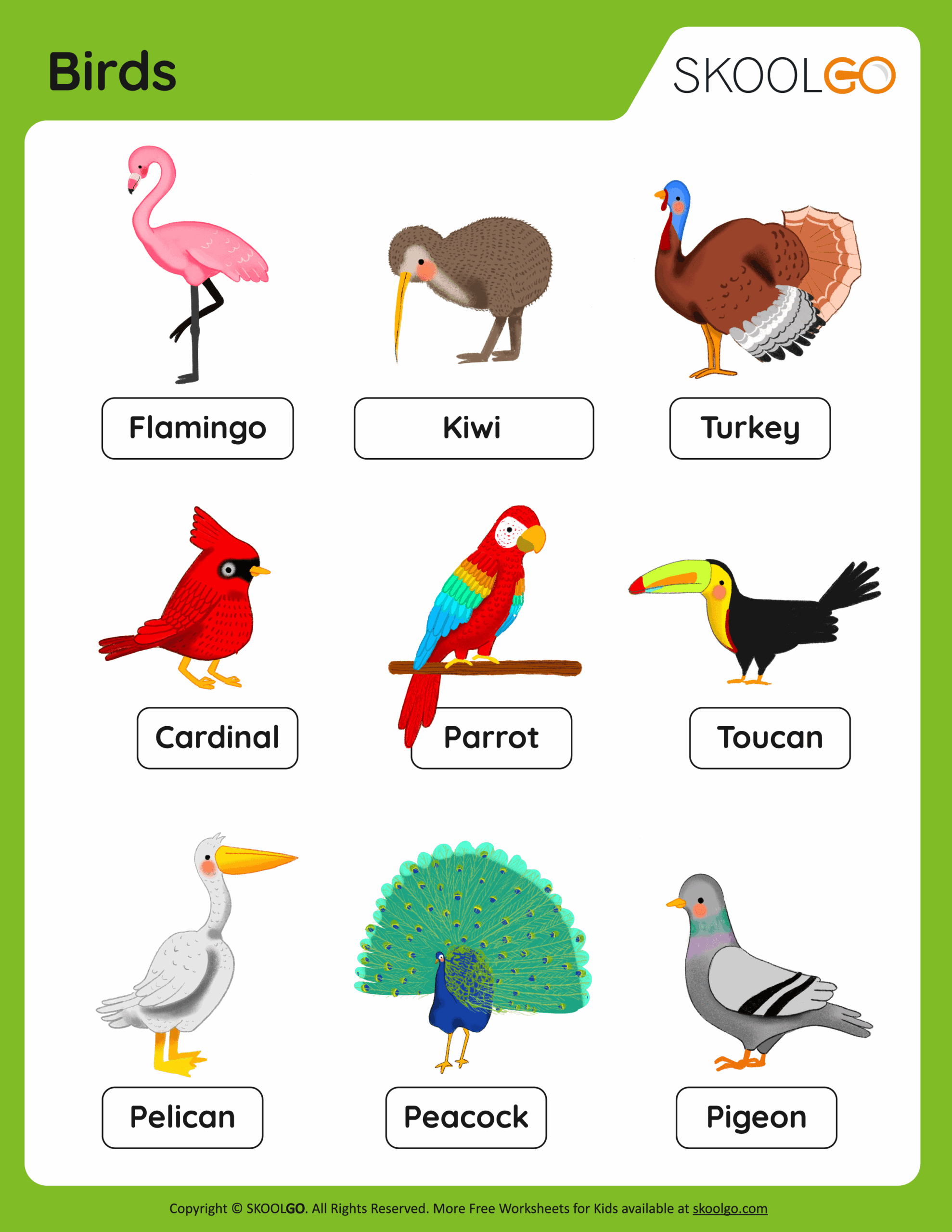 Free Printable Worksheets About Birds Free Printable Worksheets About Birds