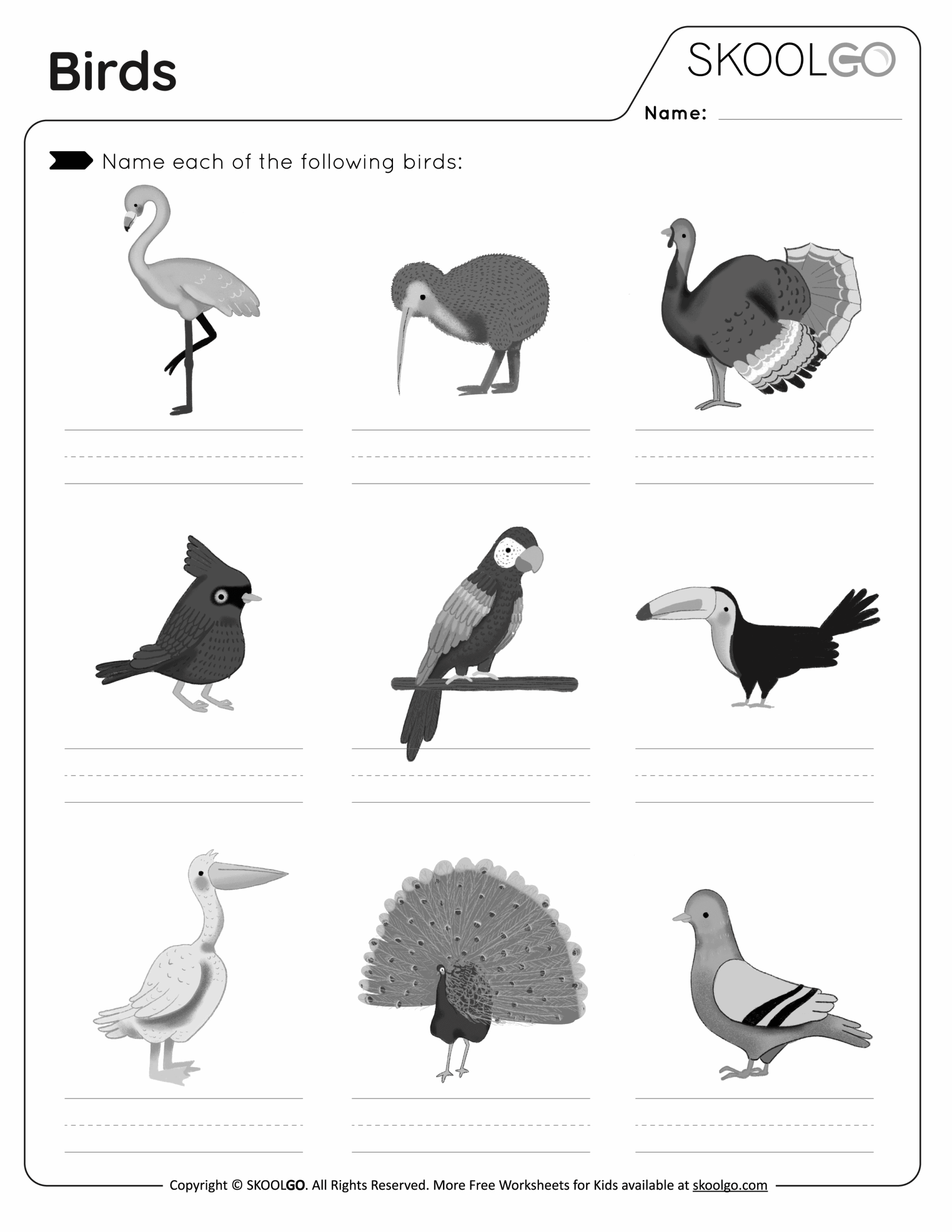 Birds Free Worksheet SKOOLGO Birds Free Worksheet SKOOLGO