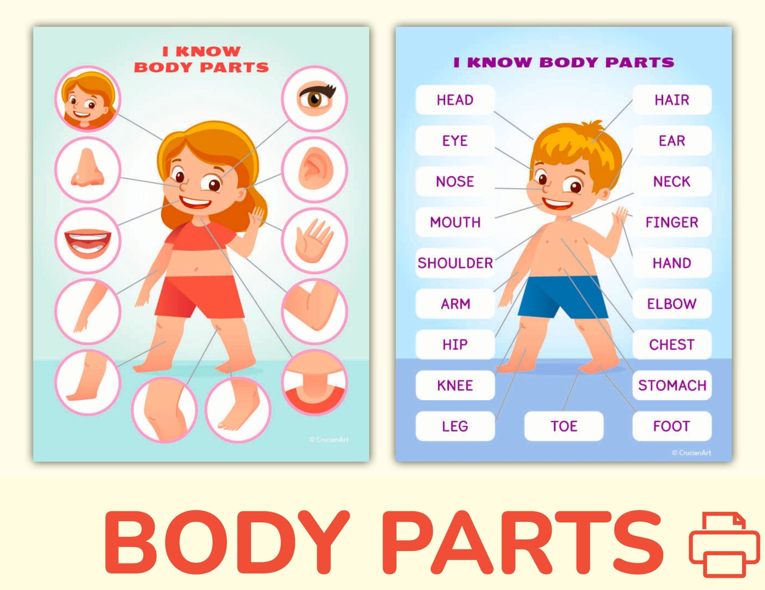 Body And Face Parts Printable Learning Pack For Toddler Preschool 