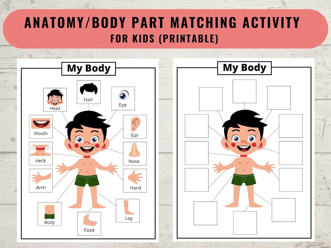 Body Parts Matching Body Parts Printable Activity For Kids Human Body Printable Matching Game Worksheet Coloring Page Homeschool Preschool Digital Download 