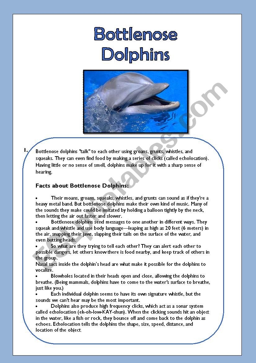 Bottlenose Dolphins Reading Comprehension ESL Worksheet By Jessisun Bottlenose Dolphins Reading Comprehension ESL Worksheet By Jessisun