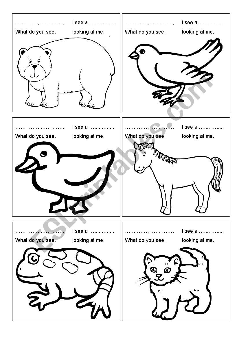 Brown Bear ESL Worksheet By AAGC