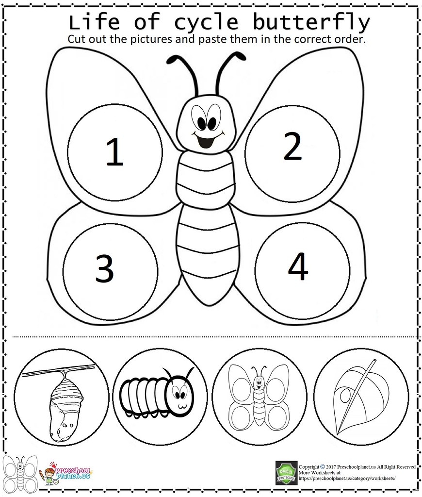Preschool Butterfly Printables
