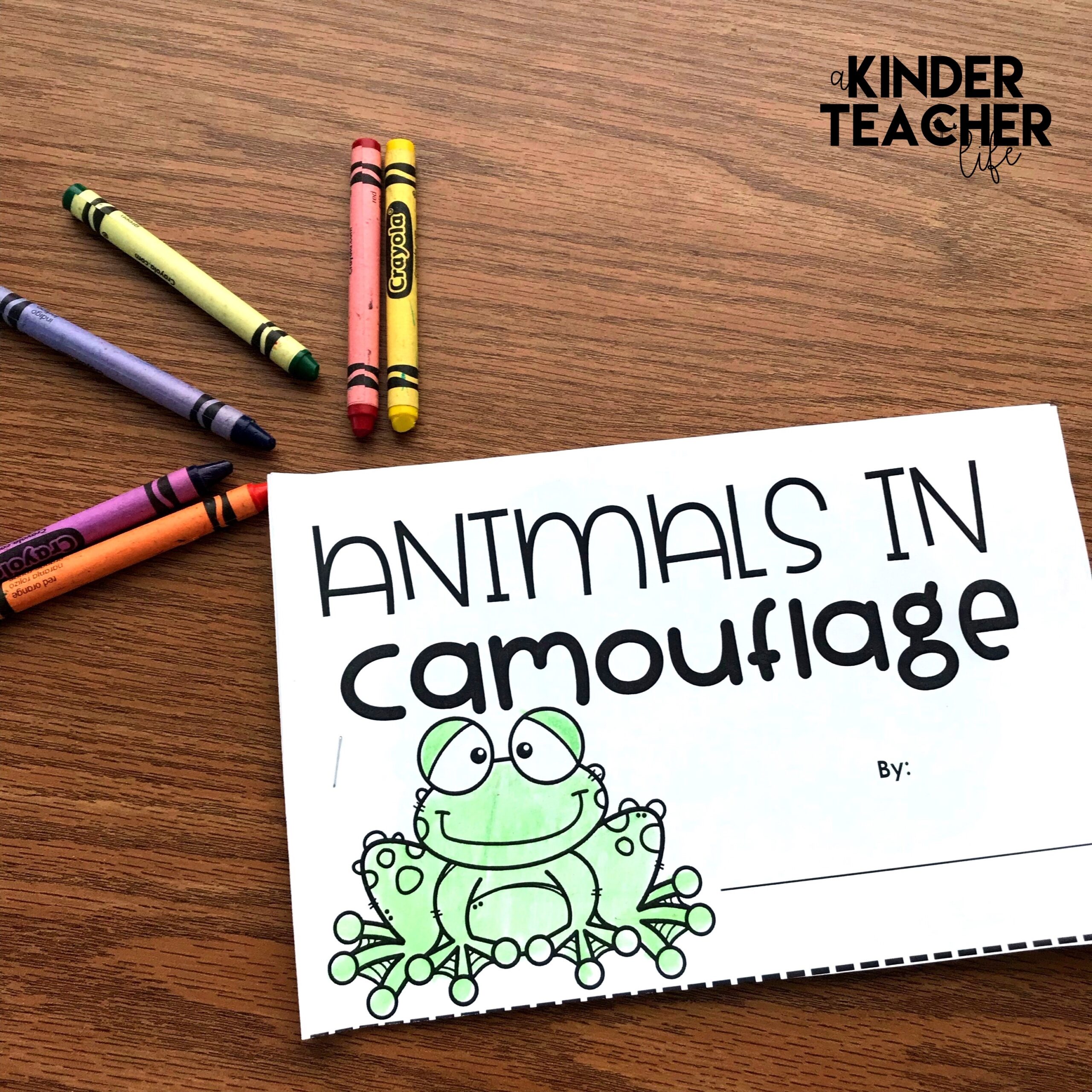 Camouflage ANIMALS COLORING BOOK Freebie A Kinderteacher Life