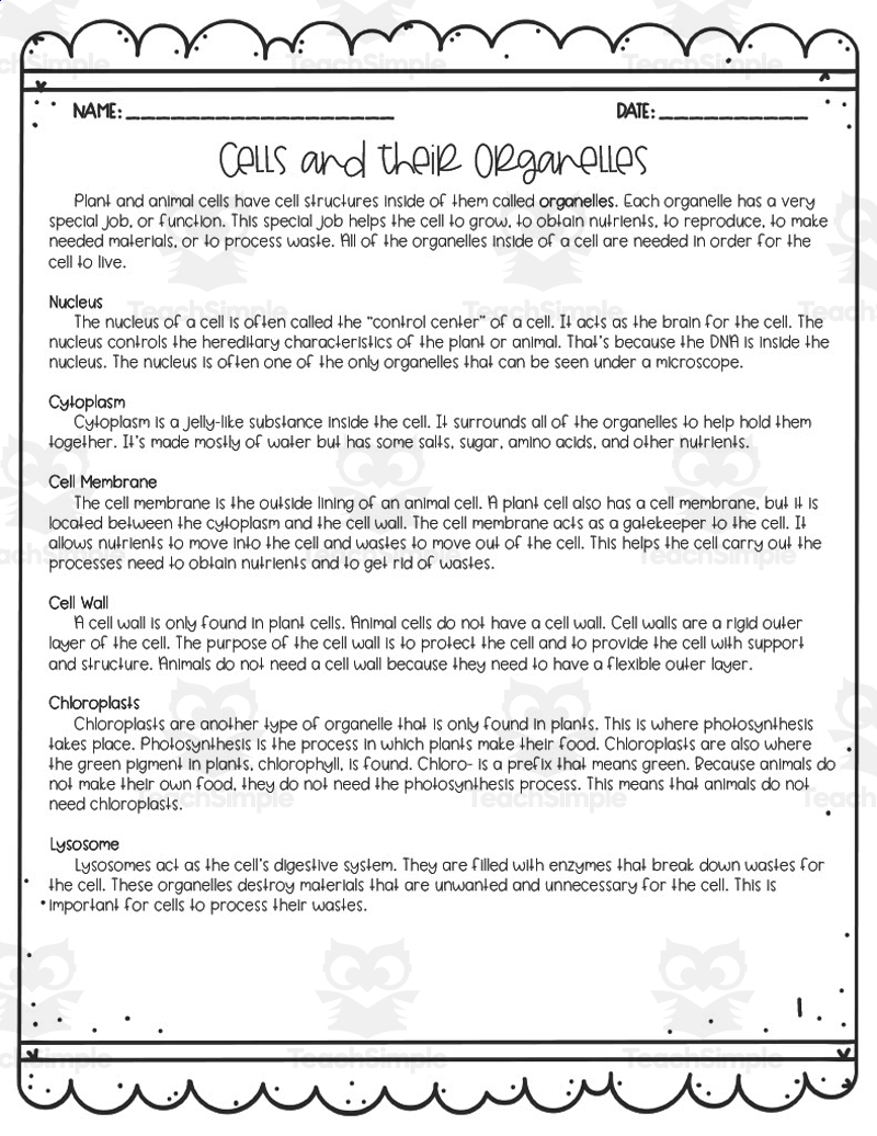 Cells Reading Comprehension Worksheet Pdf Cells Reading Comprehension Worksheet Pdf