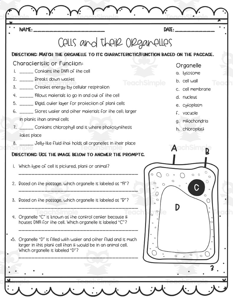 Cells Their Organelles Reading Activity Cells Their Organelles Reading Activity