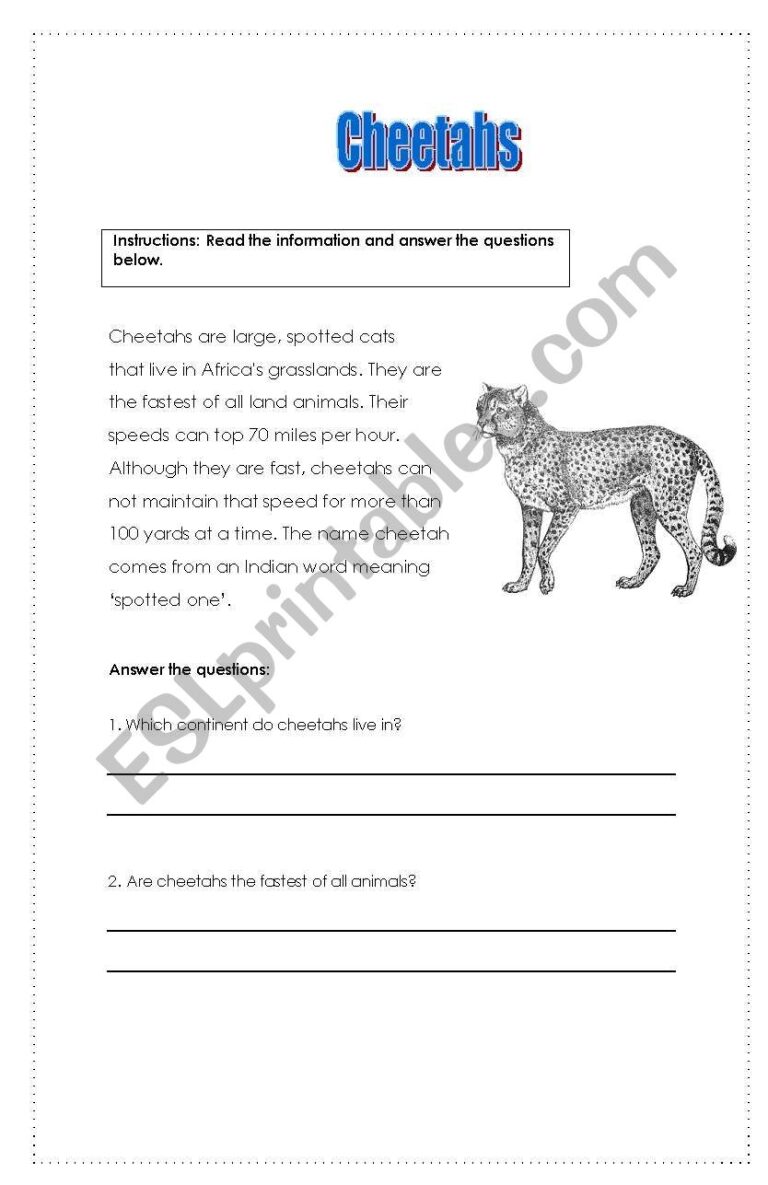 Cheetahs Reading Comprehension ESL Worksheet By Lorwen