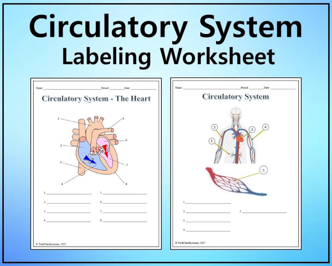 Circulatory System Labeling Worksheet Science Editable DIGITAL DOWNLOAD Etsy Canada Circulatory System Labeling Worksheet Science Editable DIGITAL DOWNLOAD Etsy Canada