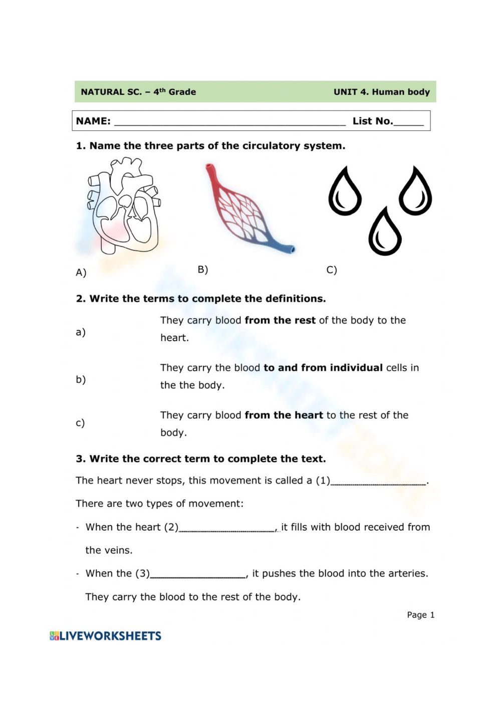 Circulatory System Worksheets 2025 Circulatory System Worksheets 2025