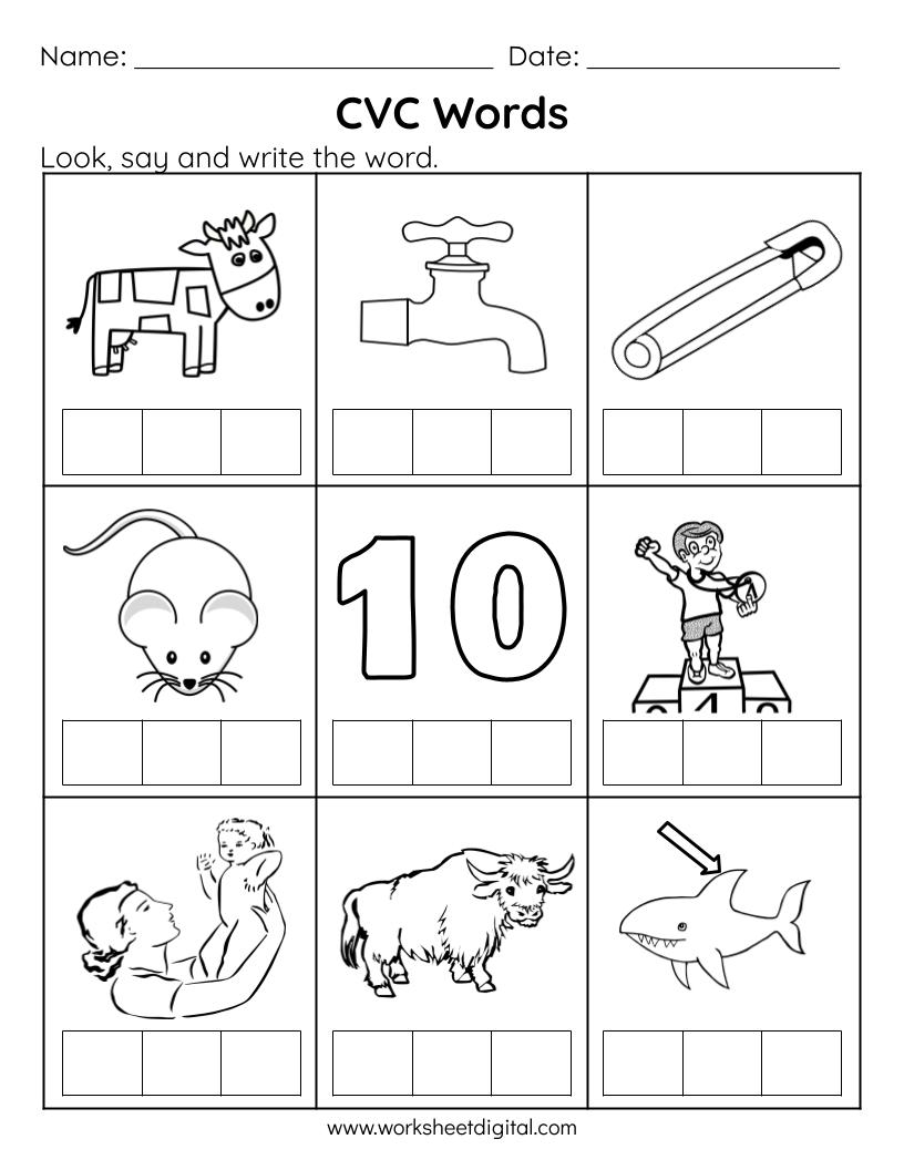 CVC Words Say And Write The CVC Words Phonics Worksheets Kindergarten Preschool Homeschool