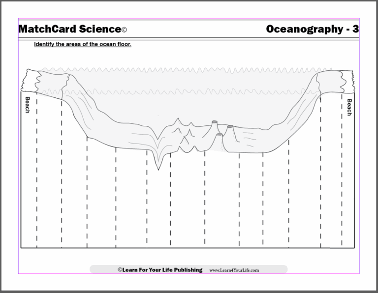 Diagram Of The Ocean Floor