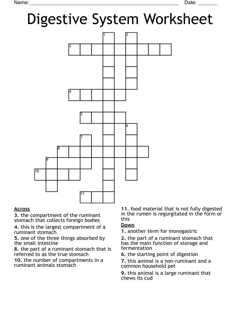 Digestive System Worksheet Crossword WordMint Digestive System Worksheet Crossword WordMint