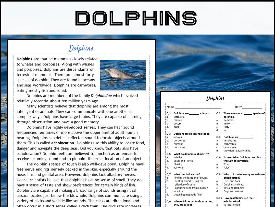 Dolphins Reading Comprehension Passage And Questions PDF Dolphins Reading Comprehension Passage And Questions PDF