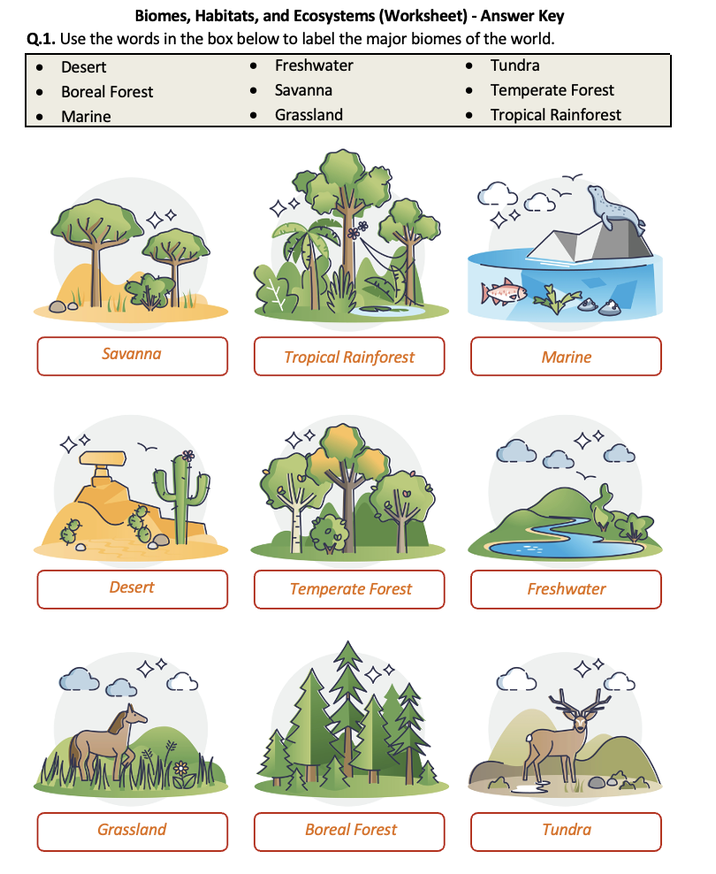 Ecosystems Worksheets Engaging Activities For Environmental Education Ecosystems Worksheets Engaging Activities For Environmental Education