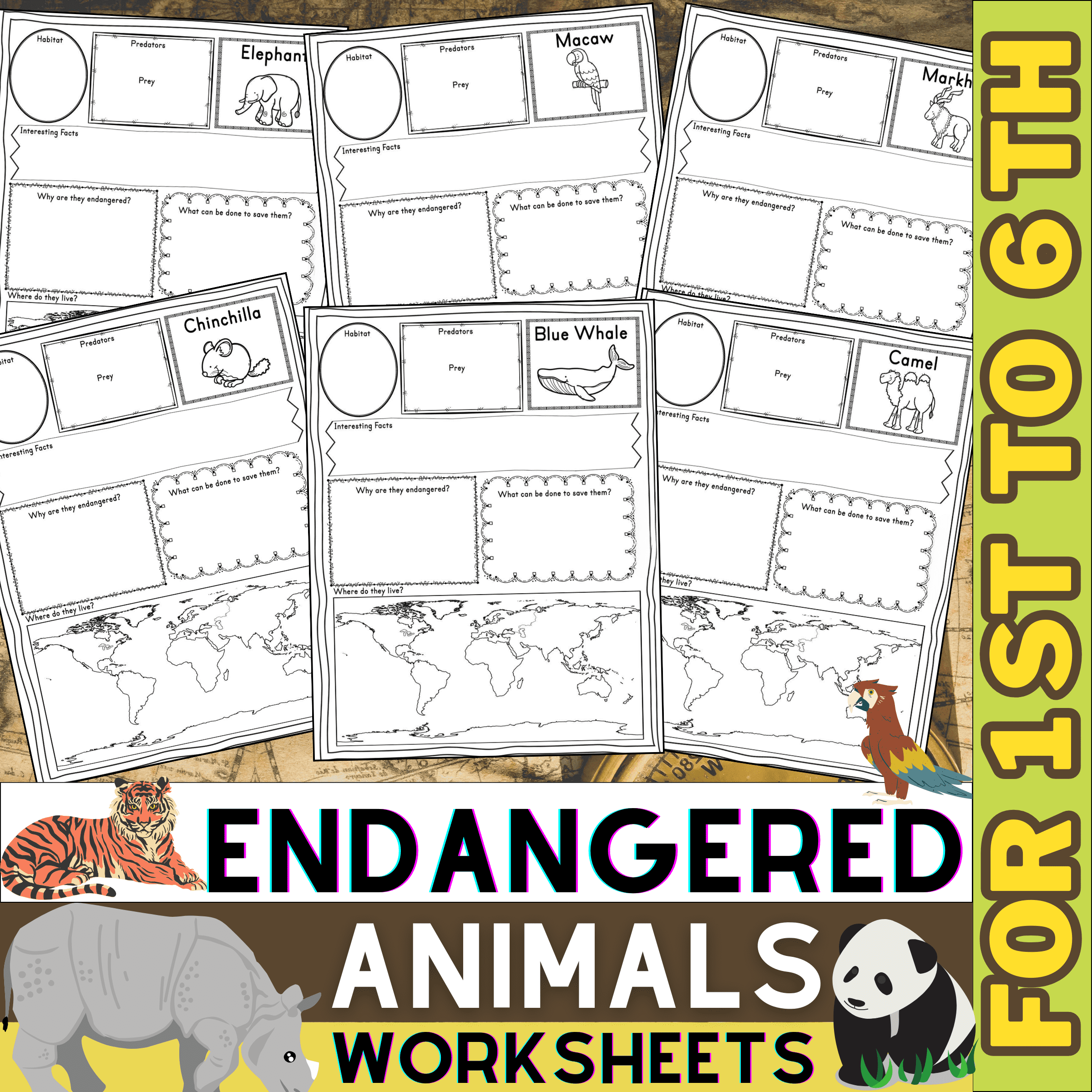 Endangered Animal Research Project Animals Worksheet Habitats 