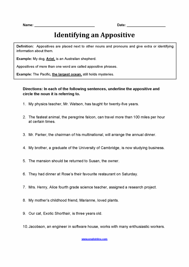 Englishlinx Appositives Worksheets
