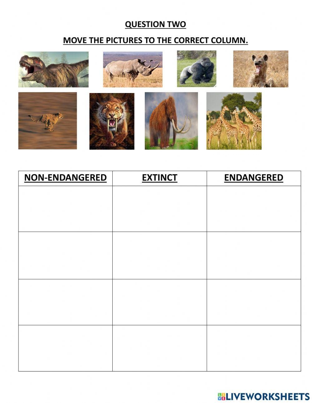 Extinct Or Endangered Animals Worksheet Live Worksheets 