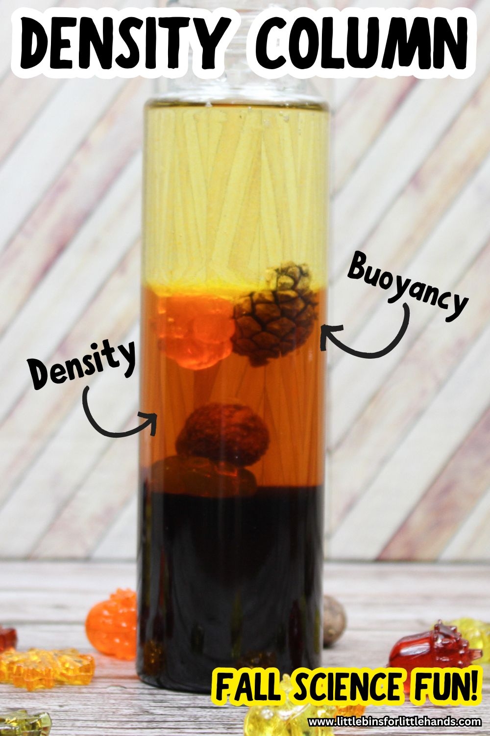 Fall Density Column Science Experiment