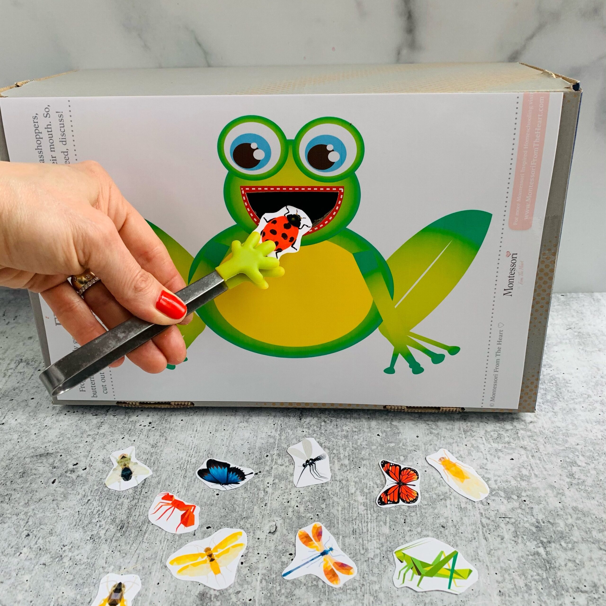 Free Printable Frog Worksheets For Preschool Free Printable Frog Worksheets For Preschool