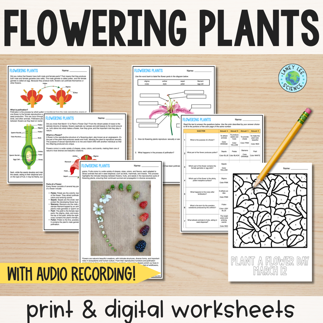 Flowering Plants Reading Comprehension Worksheets Laney Lee