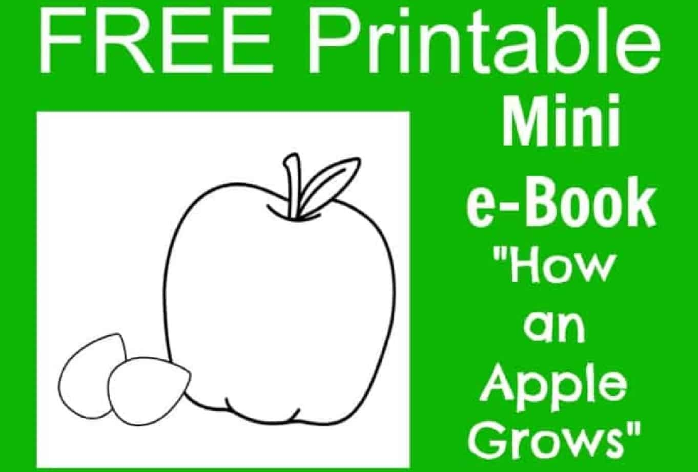 Apple Printable Book For Preschool Apple Printable Book For Preschool