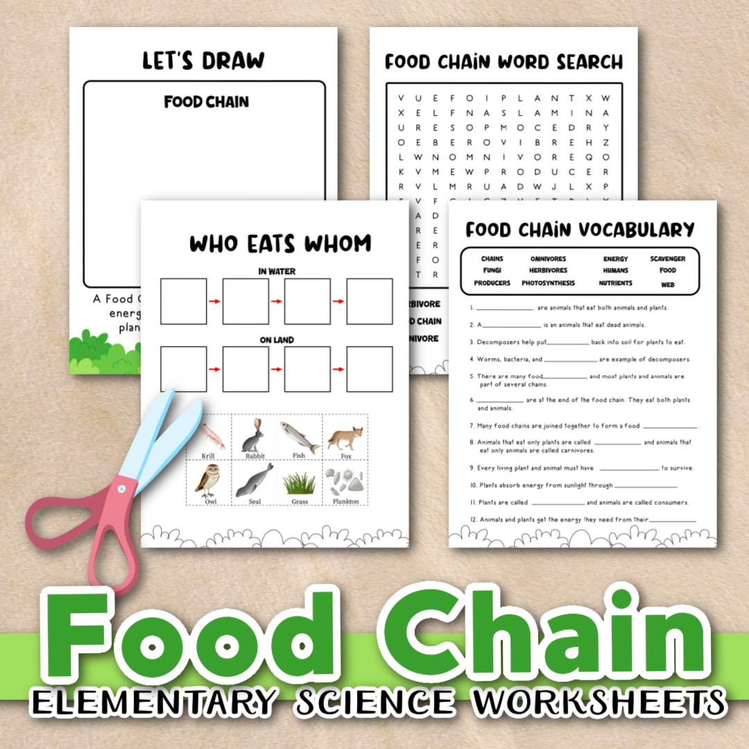 Free Food Chain Worksheets For Kids Free Food Chain Worksheets For Kids