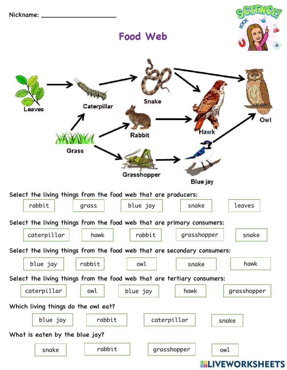 Free Food Web Worksheet Download Free Food Web Worksheet Png Free Food Web Worksheet Download Free Food Web Worksheet Png