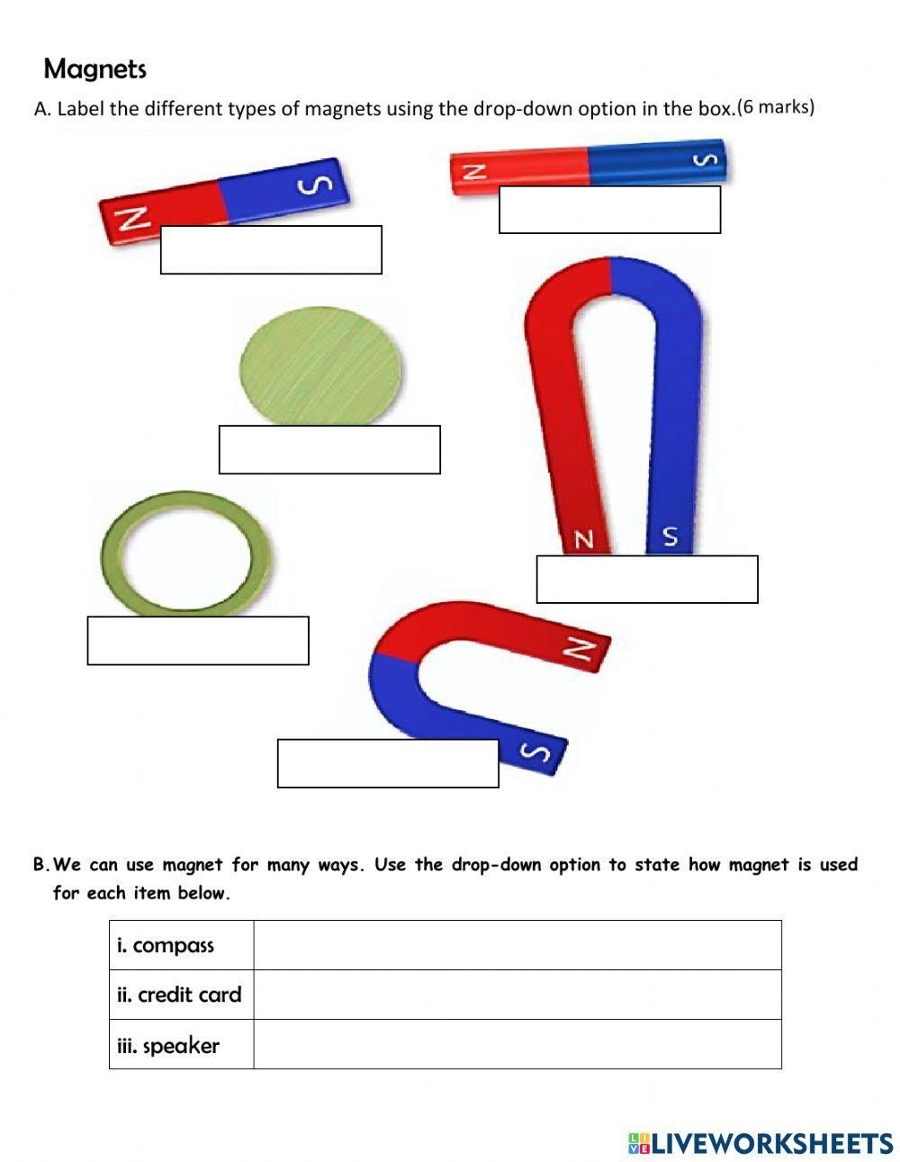 Free Magnet Worksheets For Kindergarten