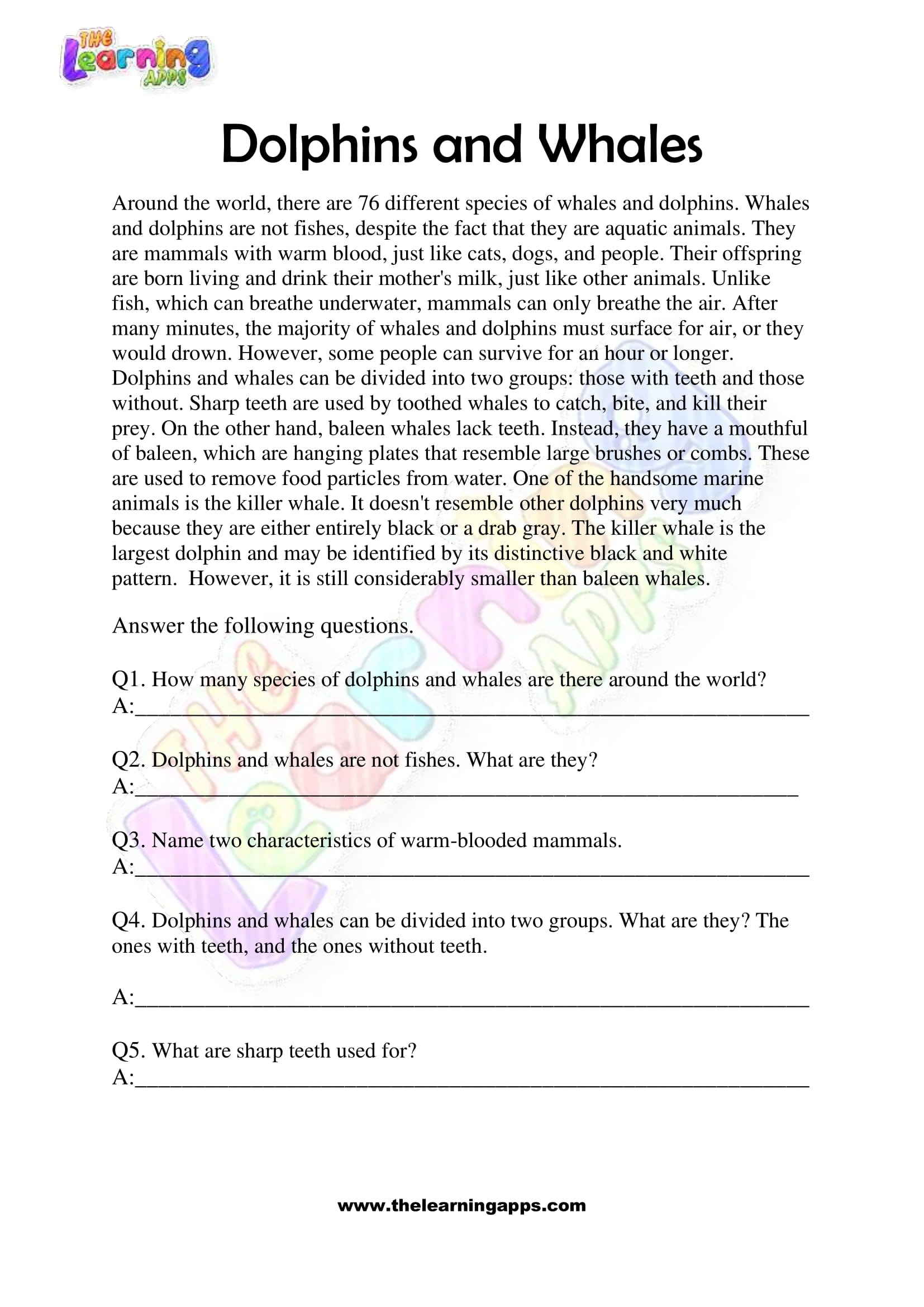 Free Non Fiction Reading Passages Worksheets For Grade 3 Free Non Fiction Reading Passages Worksheets For Grade 3