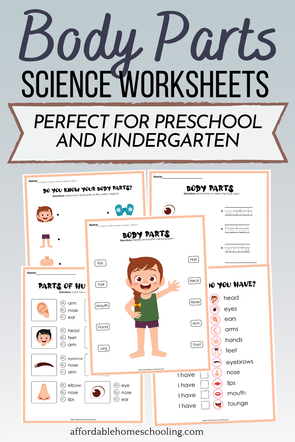 Free Parts Of The Body Worksheets For Preschoolers Worksheets Library