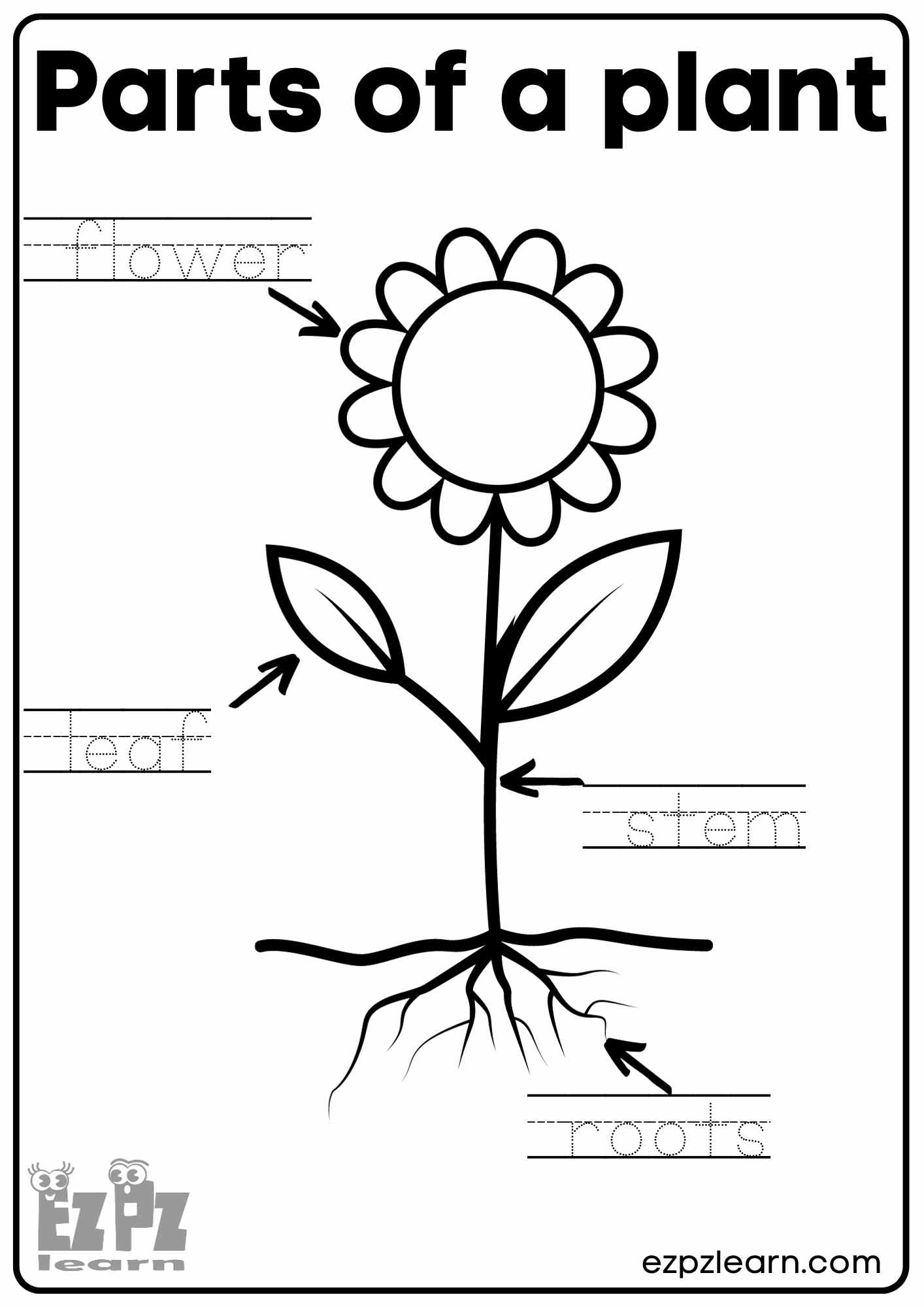 Free Plant Worksheet For Preschool Download Free Plant Worksheet For Preschool Png Images Free Worksheets On Clipart Library