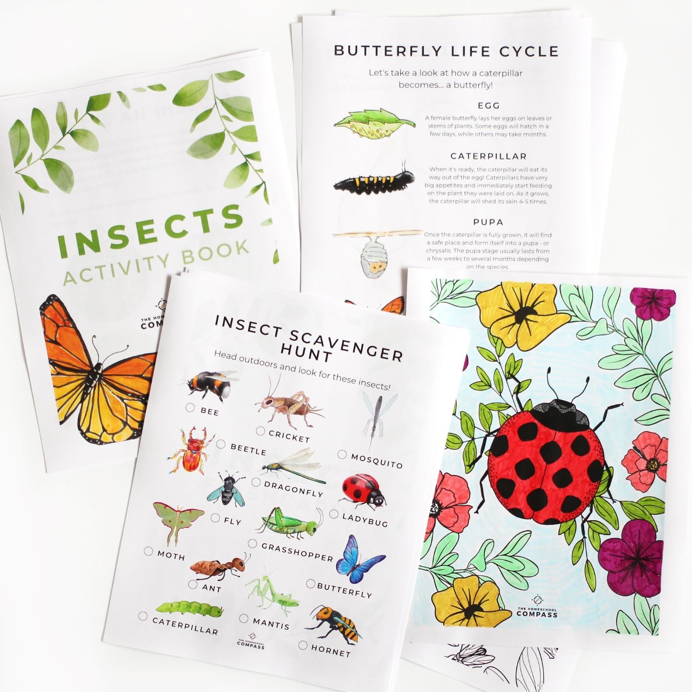 Free Printable Insect Activity Book Homeschool Compass Free Printable Insect Activity Book Homeschool Compass