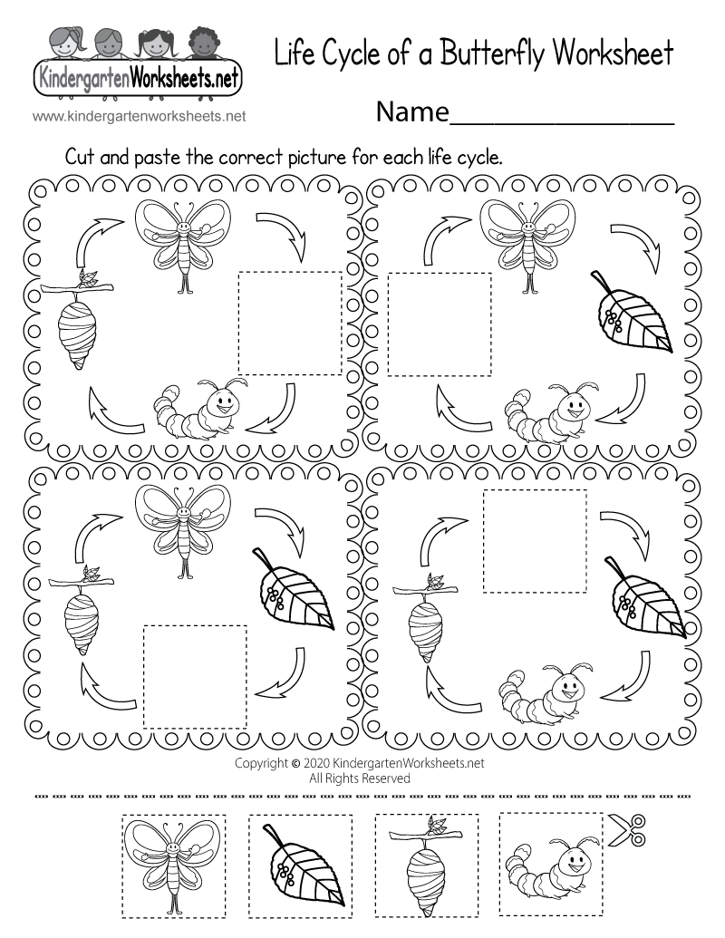 Free Printable Life Cycle Of A Butterfly Worksheet