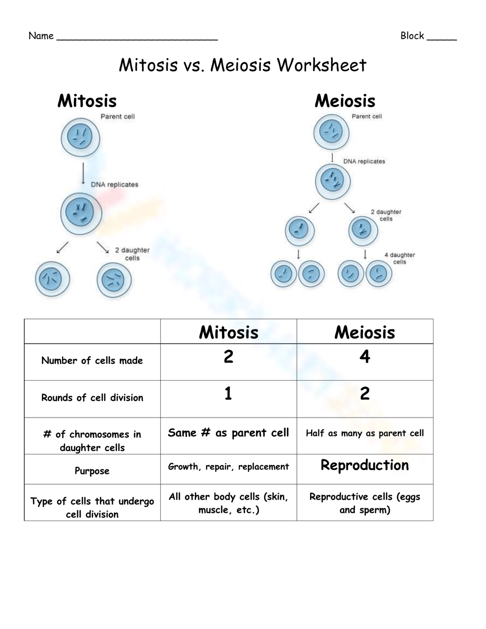 Free Printable Mitosis Verses Meiosis Worksheets Worksheets Library Free Printable Mitosis Verses Meiosis Worksheets Worksheets Library