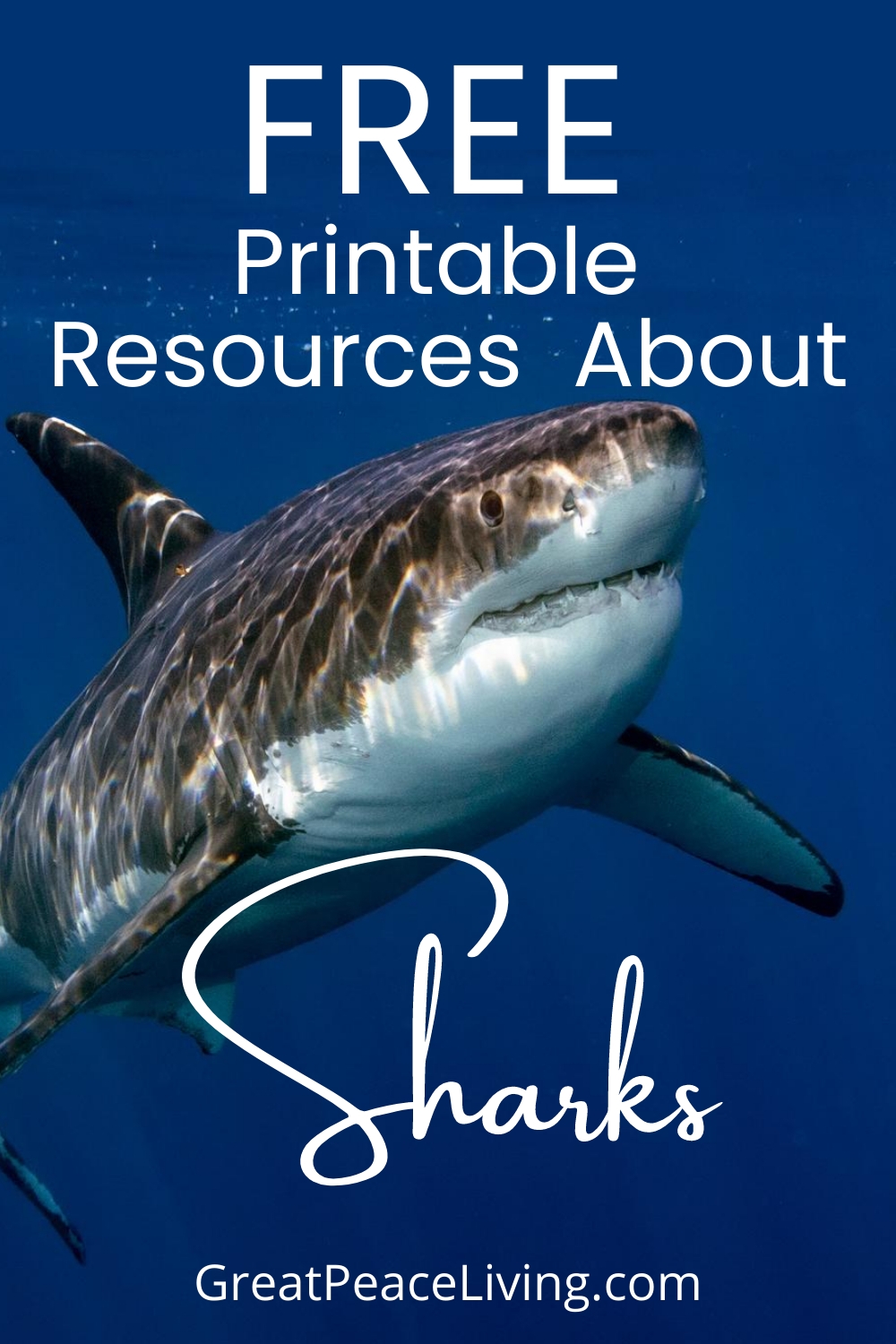 Free Printables To Learn About Sharks Great Peace Living Free Printables To Learn About Sharks Great Peace Living