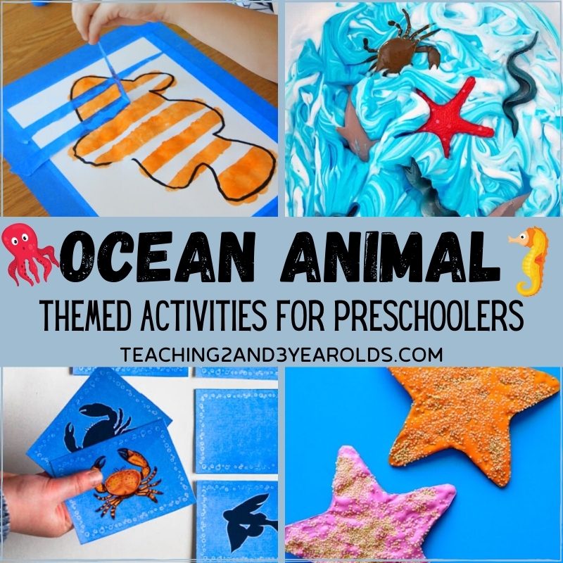 Hands On Toddler And Preschool Ocean Activities